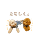 コロとリュウのスタンプ（個別スタンプ：7）