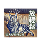 ネコの挨拶、中国語と日本語（個別スタンプ：9）