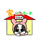 うさちわ（個別スタンプ：29）