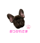 アトムV1（個別スタンプ：9）