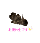 アトムV1（個別スタンプ：10）