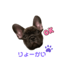 アトムV1（個別スタンプ：12）