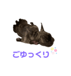 アトムV1（個別スタンプ：14）