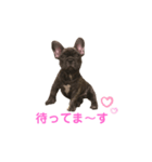 アトムV1（個別スタンプ：16）