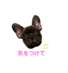アトムV1（個別スタンプ：17）