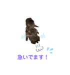 アトムV1（個別スタンプ：21）