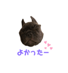 アトムV1（個別スタンプ：25）