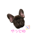 アトムV1（個別スタンプ：26）
