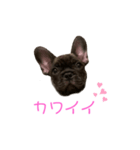 アトムV1（個別スタンプ：27）