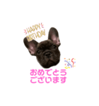 アトムV1（個別スタンプ：29）