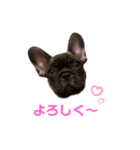 アトムV1（個別スタンプ：31）