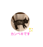 アトムV1（個別スタンプ：32）