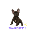 アトムV1（個別スタンプ：33）