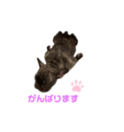 アトムV1（個別スタンプ：34）