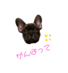 アトムV1（個別スタンプ：36）