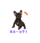 アトムV1（個別スタンプ：37）