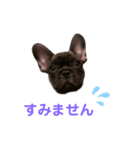 アトムV1（個別スタンプ：40）
