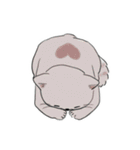 ゆるぽけあにまるず（個別スタンプ：15）