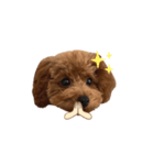 ぷぷ〜（個別スタンプ：15）