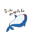 コアラとサメの不思議な仲間たち6（個別スタンプ：38）