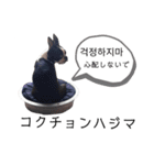 気付けば覚えちゃってる楽チン韓国語②（個別スタンプ：4）