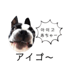 気付けば覚えちゃってる楽チン韓国語②（個別スタンプ：11）