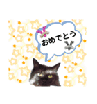 黒猫マリースタンプ ②（個別スタンプ：16）