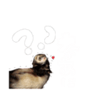コンココ（個別スタンプ：8）