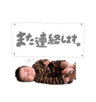 コンココ（個別スタンプ：15）