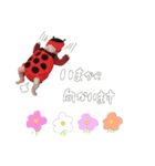 コンココ（個別スタンプ：16）