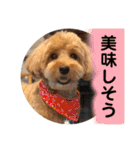 門くんバージョン3（個別スタンプ：38）