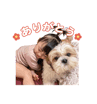 ひまちゃんズ2（個別スタンプ：4）