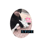 ポイ童(愛して)（個別スタンプ：9）