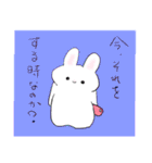 うさぎの格言（個別スタンプ：3）