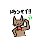 たくましい子猫。ミャンドゥンドゥンです！（個別スタンプ：5）