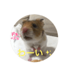 ミルクと申す（個別スタンプ：3）