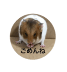 ミルクと申す（個別スタンプ：5）