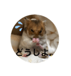 ミルクと申す（個別スタンプ：6）
