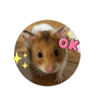ミルクと申す（個別スタンプ：7）