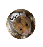 ミルクと申す（個別スタンプ：9）