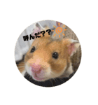 ミルクと申す（個別スタンプ：14）