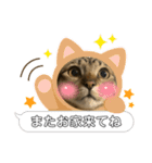 さだはるスタンプ3（個別スタンプ：4）