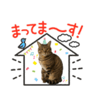 さだはるスタンプ3（個別スタンプ：5）