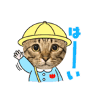 さだはるスタンプ3（個別スタンプ：6）