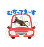 さだはるスタンプ3（個別スタンプ：7）