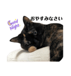 さびっ娘倶楽部（個別スタンプ：4）
