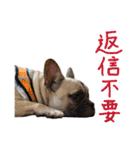 おしゃべりフレブル 福スタンプ①（個別スタンプ：7）