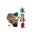おしゃべりフレブル 福スタンプ①（個別スタンプ：26）
