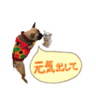 おしゃべりフレブル 福スタンプ①（個別スタンプ：40）