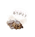 Y.S.Y24 魔法の石スタンプ（個別スタンプ：3）
